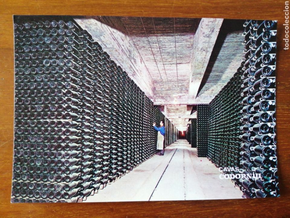 Postales: POSTAL CAVA CODORNIU - Foto 1