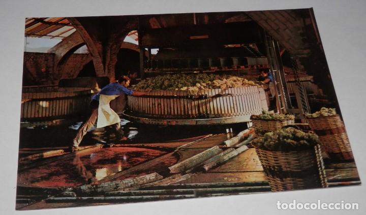 Postales: TARJETA POSTAL DE LAS CAVAS CODORNIU - Foto 1