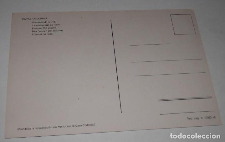 Postales: TARJETA POSTAL DE LAS CAVAS CODORNIU - Foto 2