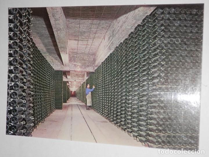 Postales: TARJETA POSTAL DE LAS CAVAS CODORNIU