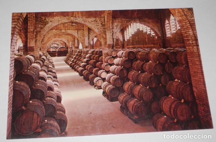 Postales: TARJETA POSTAL DE LAS CAVAS CODORNIU