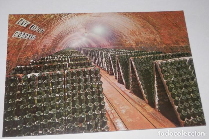 Postales: TARJETA POSTAL DE LAS CAVAS CODORNIU - Foto 1