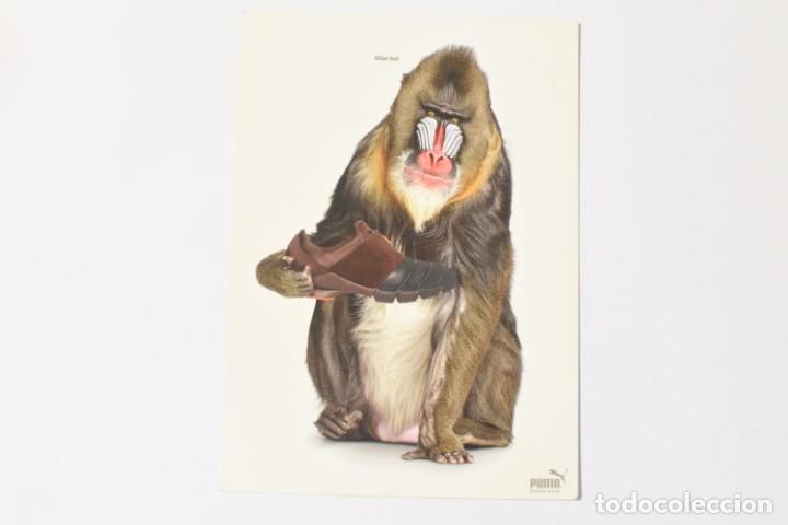 Postales: POSTAL PUBLICITARIA DE PUMA - Foto 1