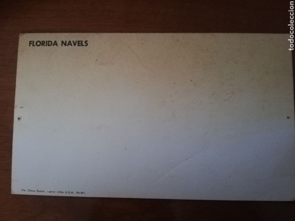 Postales: FLORIDA NAVELS - Foto 2