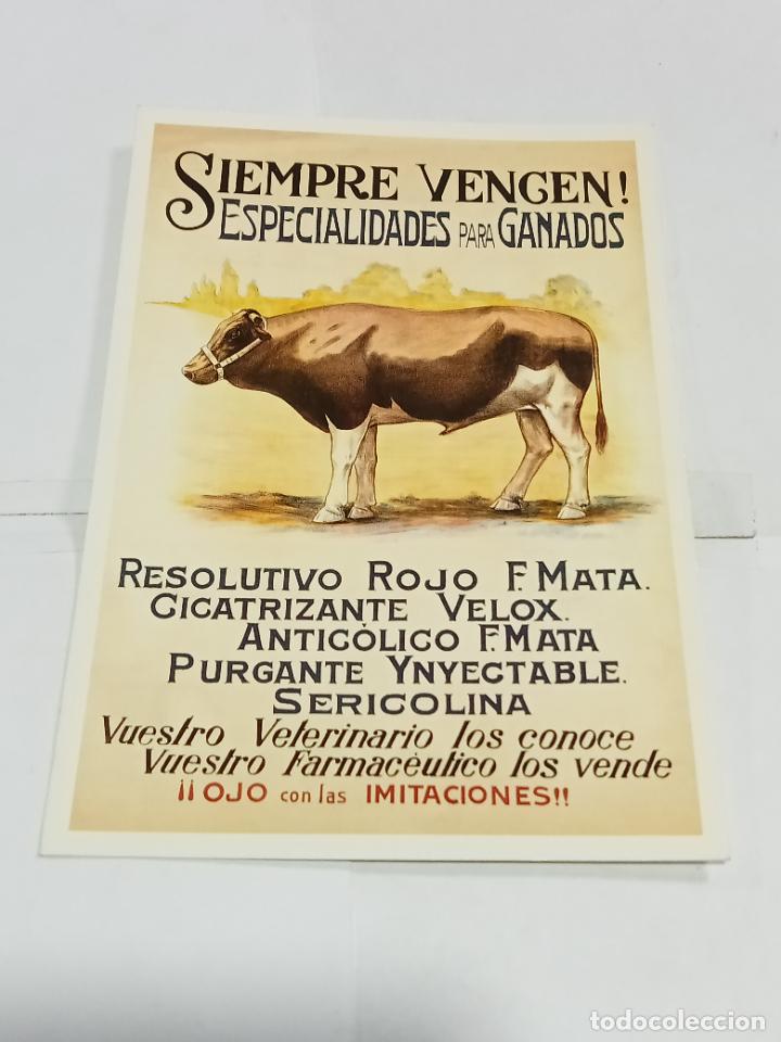 Postcards: TARJETA POSTAL. PUBLICIDAD. COLECCI&Oacute;N CARLOS VELASCO. ESPECIALIDADES PARA GANADO