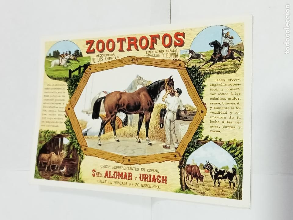 Postcards: TARJETA POSTAL. PUBLICIDAD. COLECCI&Oacute;N CARLOS VELASCO. ZOOTROFOS. REGENERADOR DE LOS ANIMALES