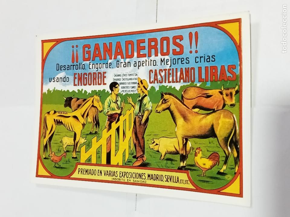 Postcards: TARJETA POSTAL. PUBLICIDAD. COLECCI&Oacute;N CARLOS VELASCO. ENGORDE CASTELLANO LIRAS