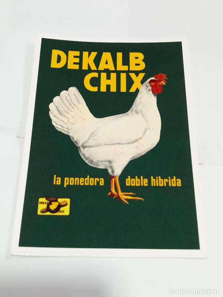 Cartes Postales: TARJETA POSTAL. PUBLICIDAD. COLECCI&Oacute;N CARLOS VELASCO. DEKALB CHIX