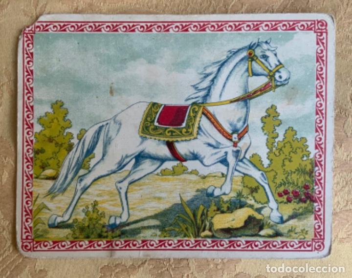 Postales: ANTIGUO TARJETON, CABALLO BLANCO - Foto 1