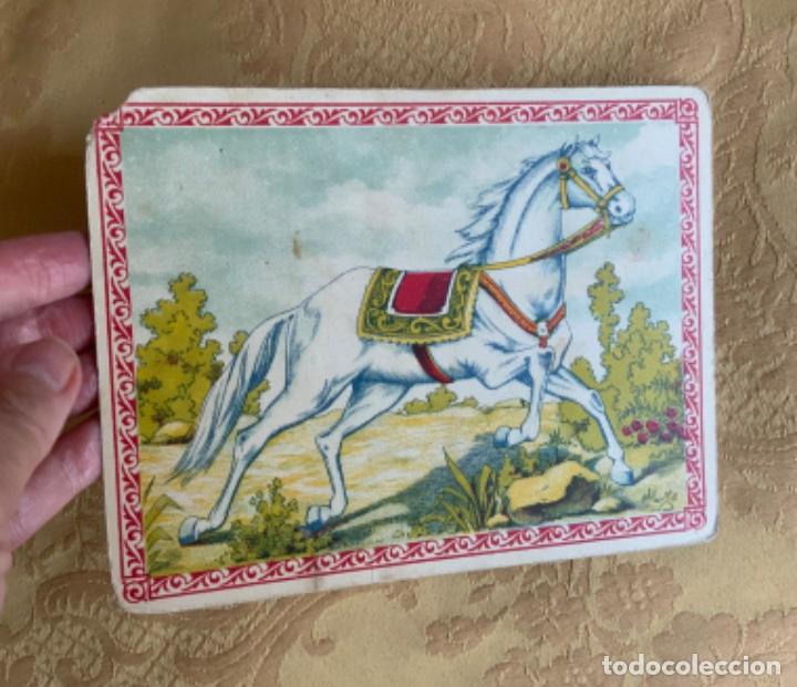 Postales: ANTIGUO TARJETON, CABALLO BLANCO - Foto 2