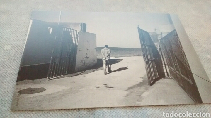 Postales: FOTO LIMO 2017(A2)DAPHNE LE SERGENT