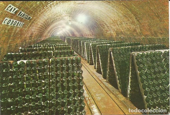 Postales: [POSTAL PUBLICITARIA] Botellas en pupitre. Cavas Codorniu. A&ntilde;o 1976 (sin circular)