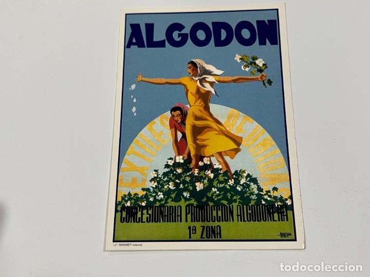 Postcards: TARJETA POSTAL. PUBLICIDAD. N&ordm; AM626 - CONCESIONARIA PRODUCCI&Oacute;N ALGODONERA. EDICIONES AM