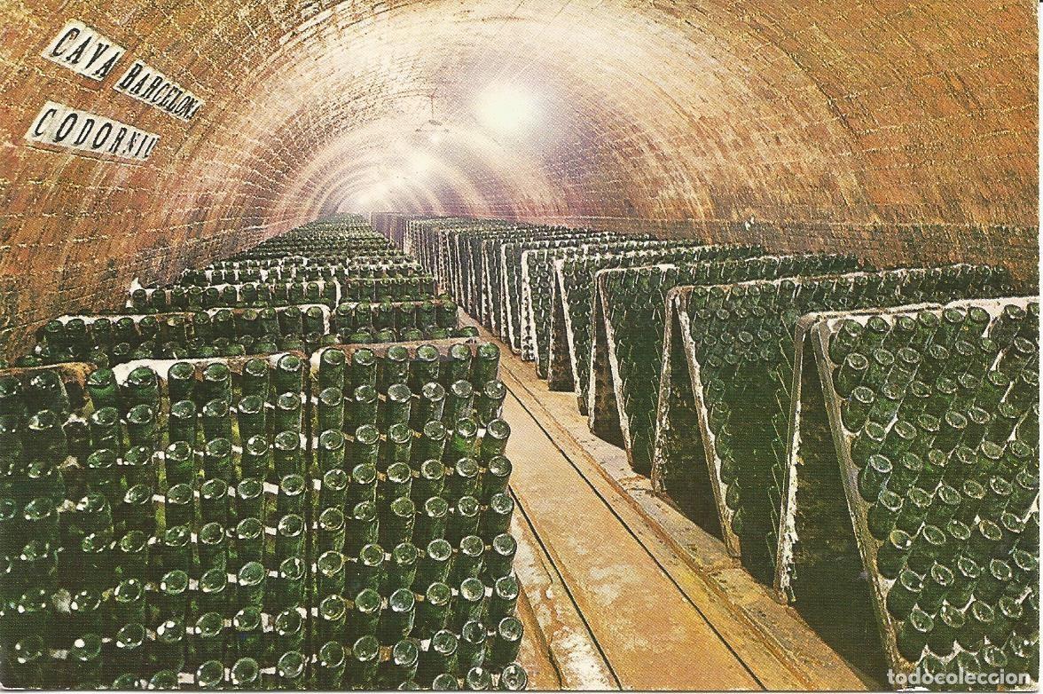 Postais: [POSTAL PUBLICITARIA] Cavas Codorniu. Botellas en pupitre (sin circular)
