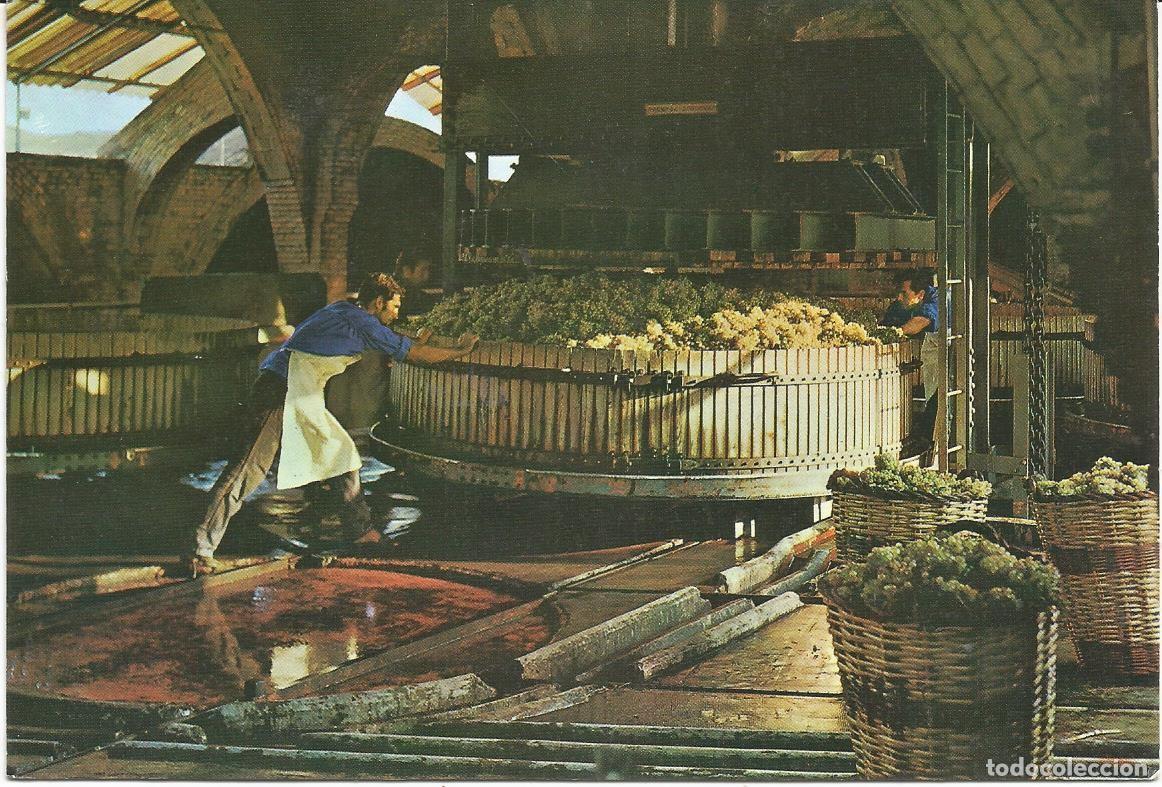 Postais: [POSTAL PUBLICITARIA] Cavas Codorniu. Prensado de la uva (sin circular)