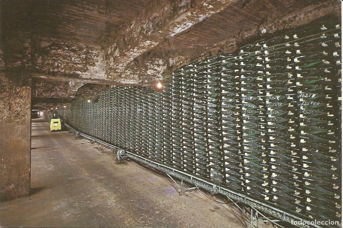 Postais: [POSTAL PUBLICITARIA] Cavas Codorniu. Botellas envejeciendo (II) (sin circular)