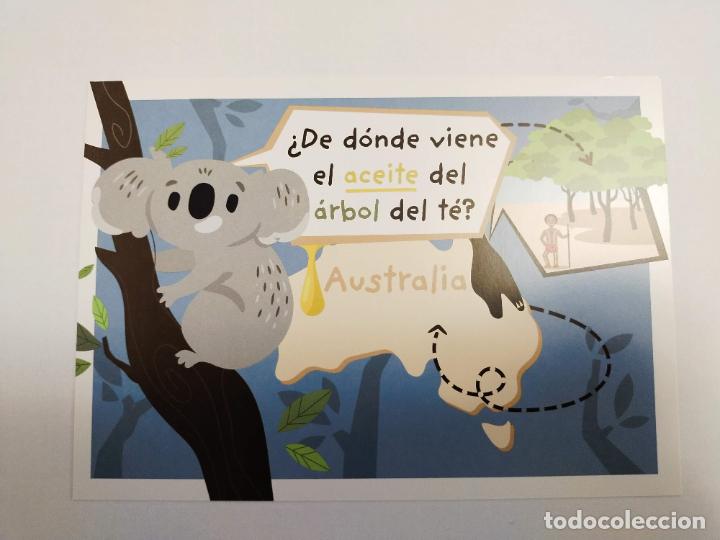 Cartes Postales: AUSTRALIA - ACEITE DEL ARBOL DEL TE - POSTAL PUBLICITARIA DRASANVI