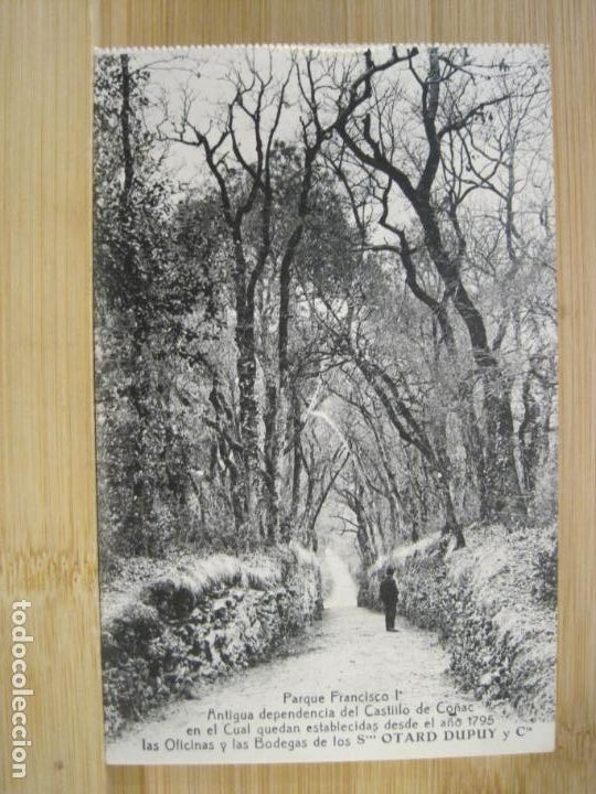 Postcards: PUBLICIDAD OFICINAS Y BODEGAS OTARD DUPUY Y CIA-POSTAL ANTIGUA-(98.908)