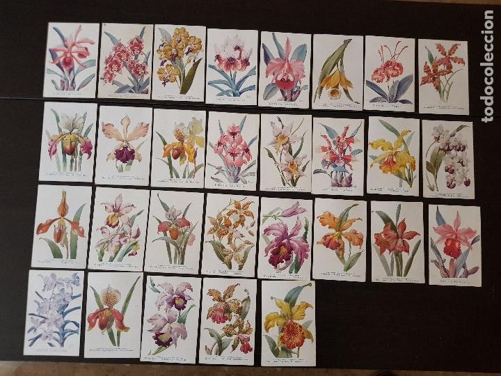 Postcards: 29 POSTALES PUBLICITARIAS A&Ntilde;OS 20 -DARRASSE PHARMACIEN.PARIS