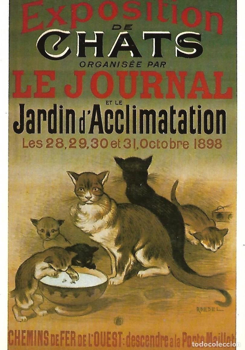 Cartes Postales: Postal publicitaria vintage &rdquo;EXPOSITION DE CHATS&rdquo;