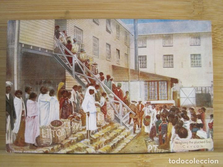 Cartes Postales: PUBLICIDAD TE LIPTON-CEYLON-POSTAL ANTIGUA-(99.567)