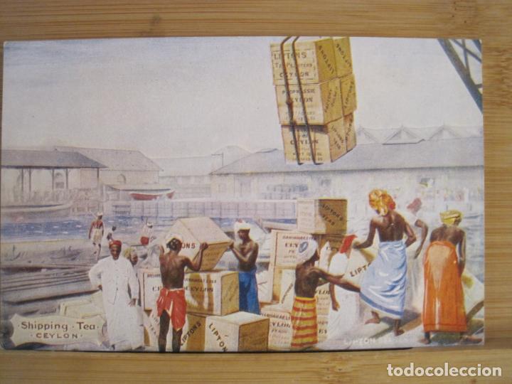 Cartes Postales: PUBLICIDAD TE LIPTON-SHIPPING TEA-CEYLON-POSTAL ANTIGUA-(99.569)