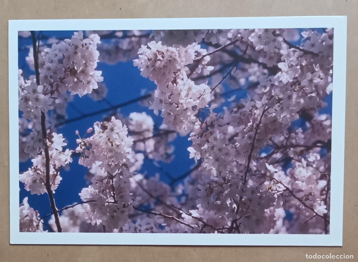 Postales: POSTAL - PUBLICITARIA - EUCERIN - Foto 1