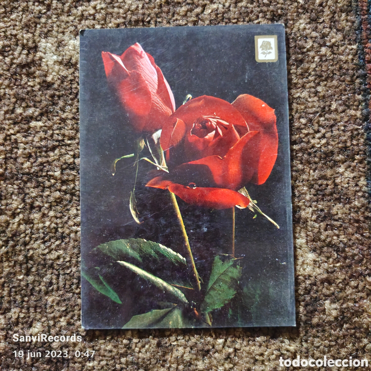 Postales: POSTAL: ROSA - Foto 1