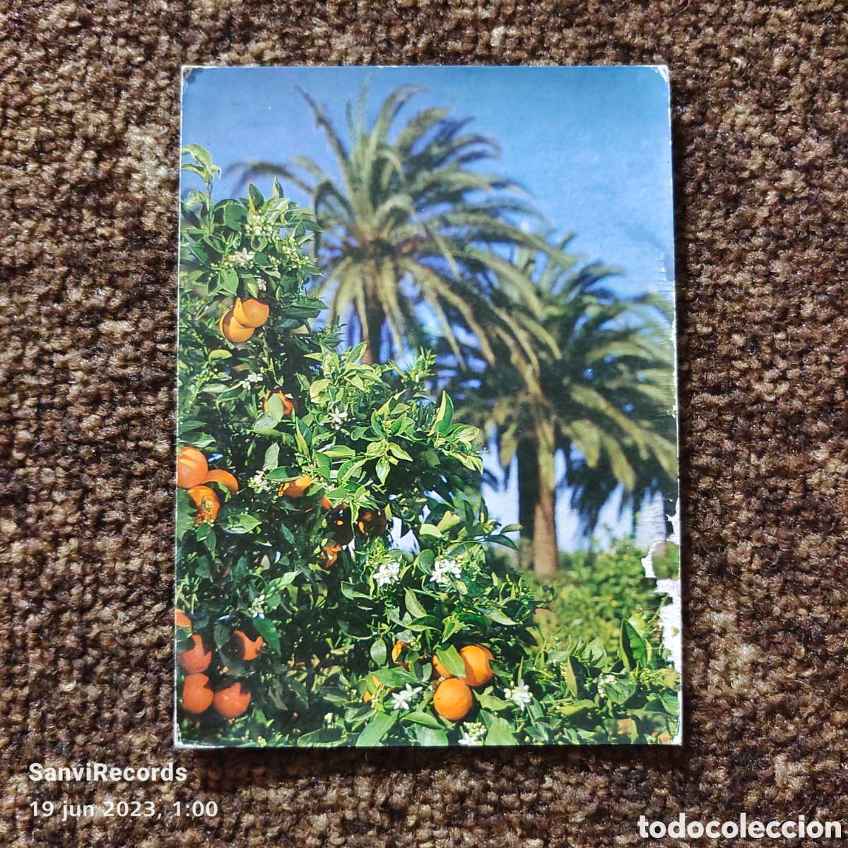 Postcards: POSTAL: NARANJAS, ESPA&Ntilde;A