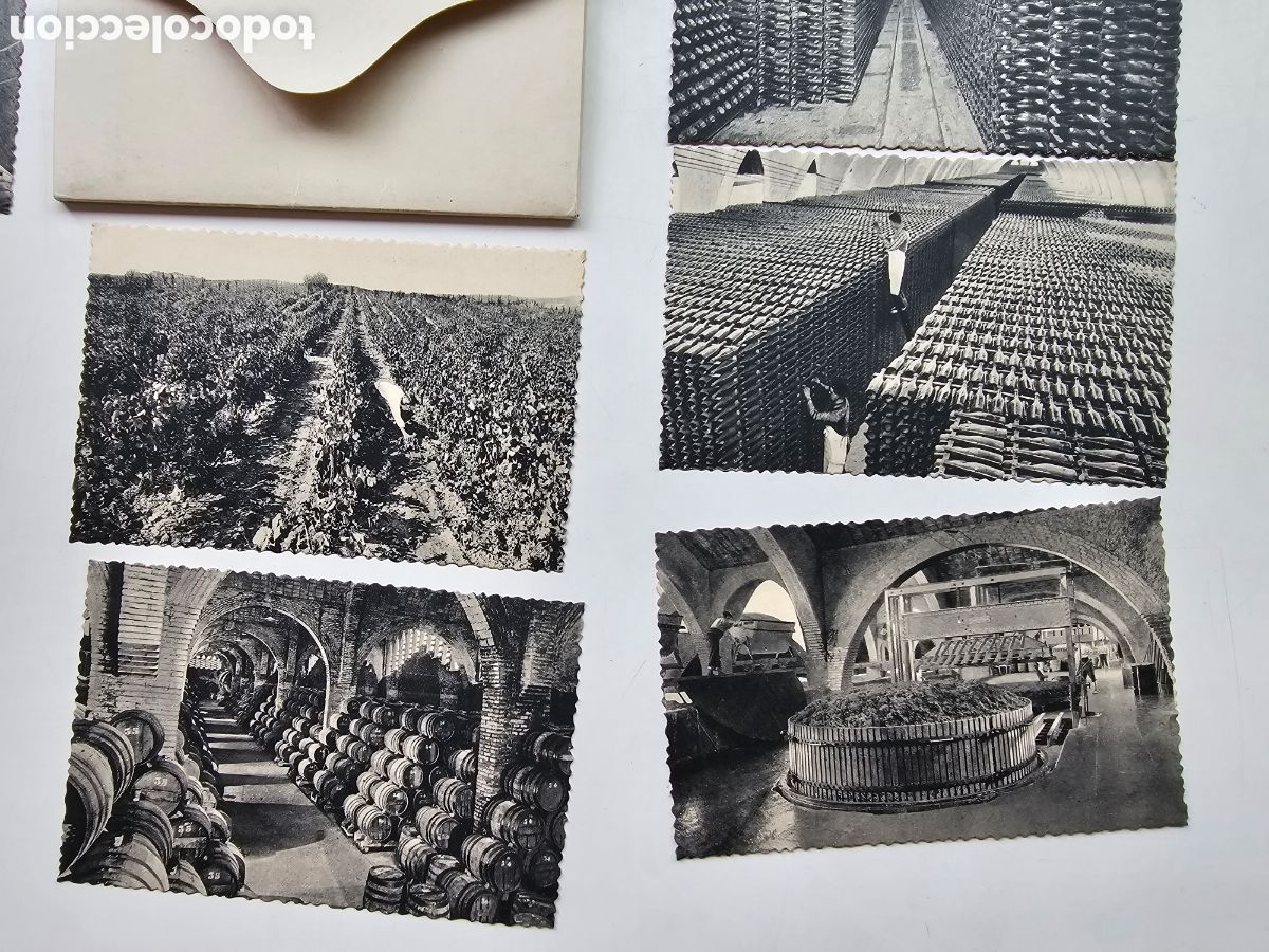 Postales: &Aacute;lbum de 10 postales de las Cavas Codorniu de 1960 - Foto 2