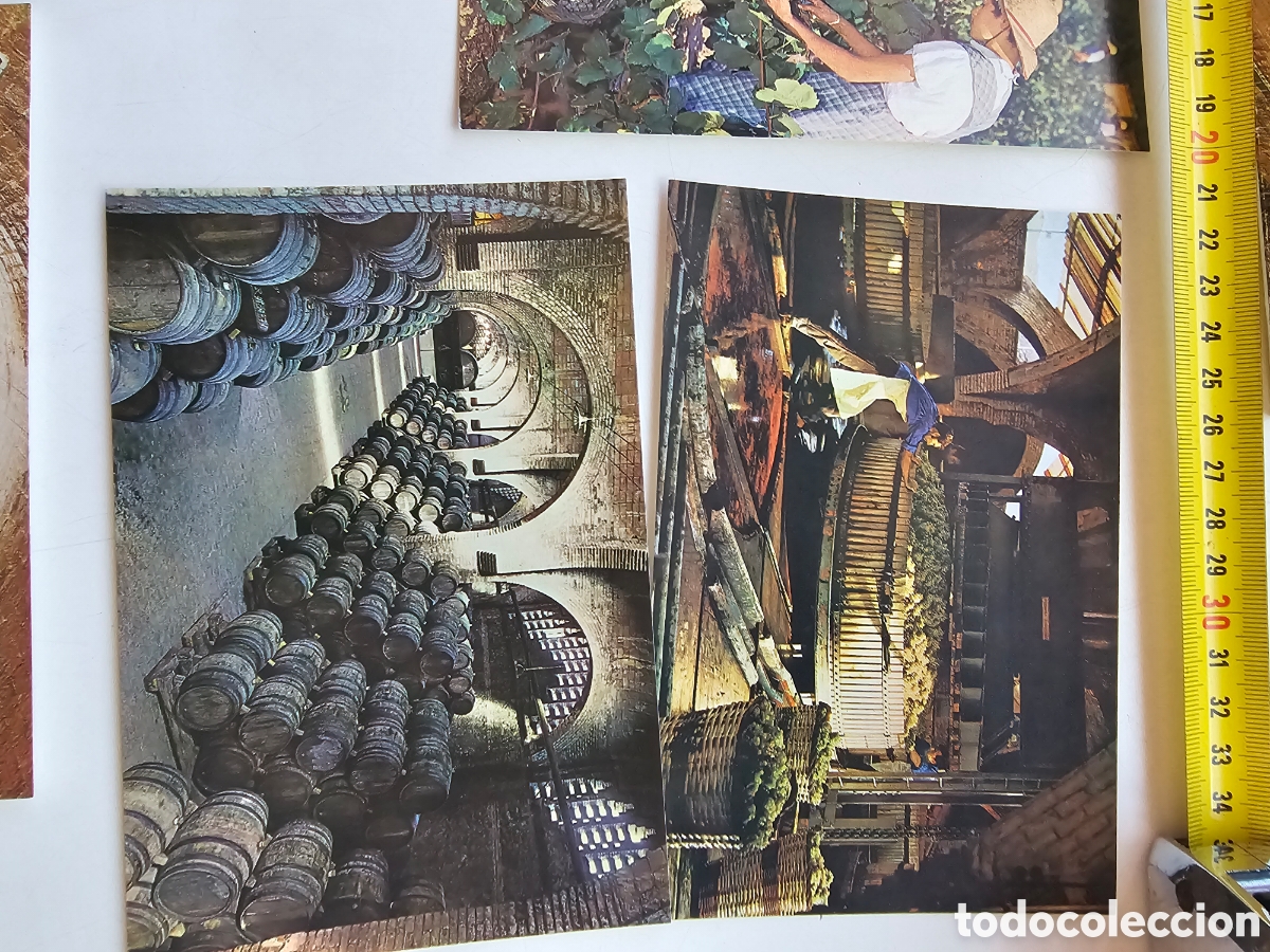 Postales: &Aacute;lbum de 6 postales de las Cavas Codorniu de 1971 - Foto 3