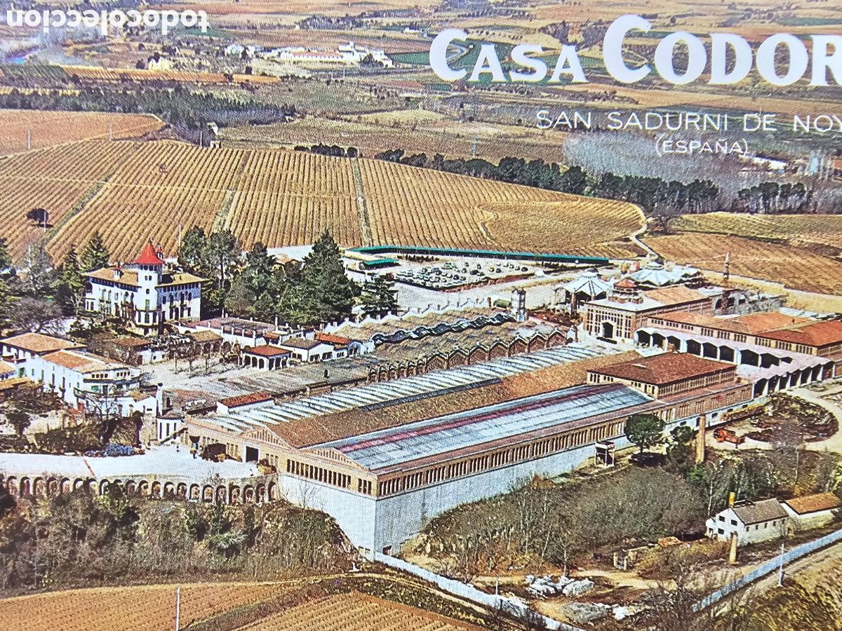 Postales: &Aacute;lbum de 6 postales de las Cavas Codorniu de 1971 - Foto 5