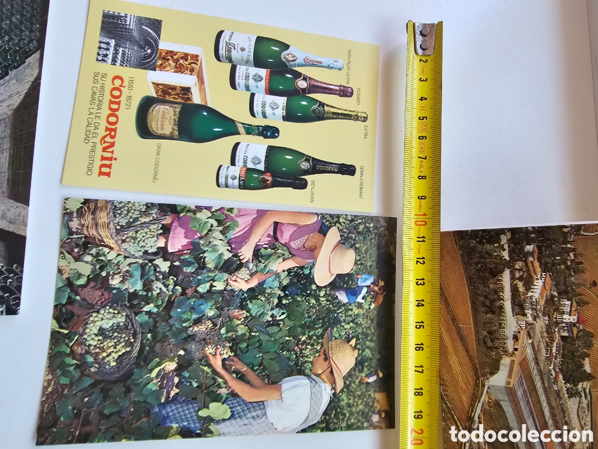 Postales: &Aacute;lbum de 6 postales de las Cavas Codorniu de 1971 - Foto 2