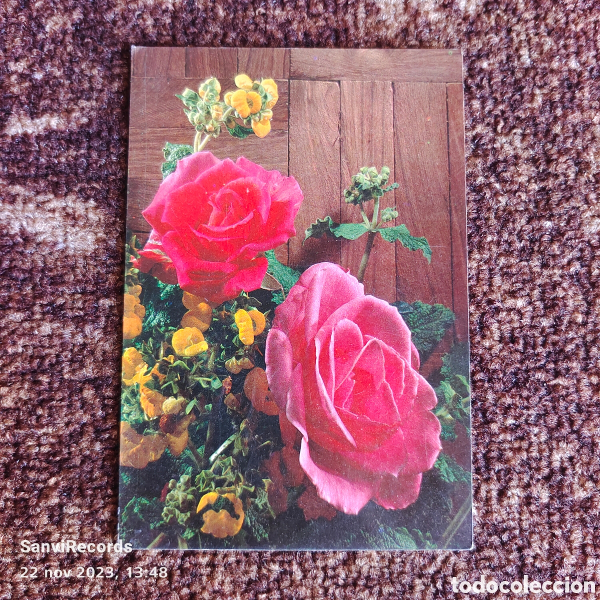 Postais: POSTAL: ROSAS