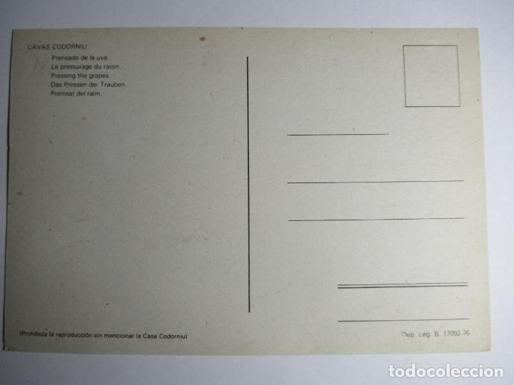 Postales: Codorniu - Prensado de la uva - Foto 2