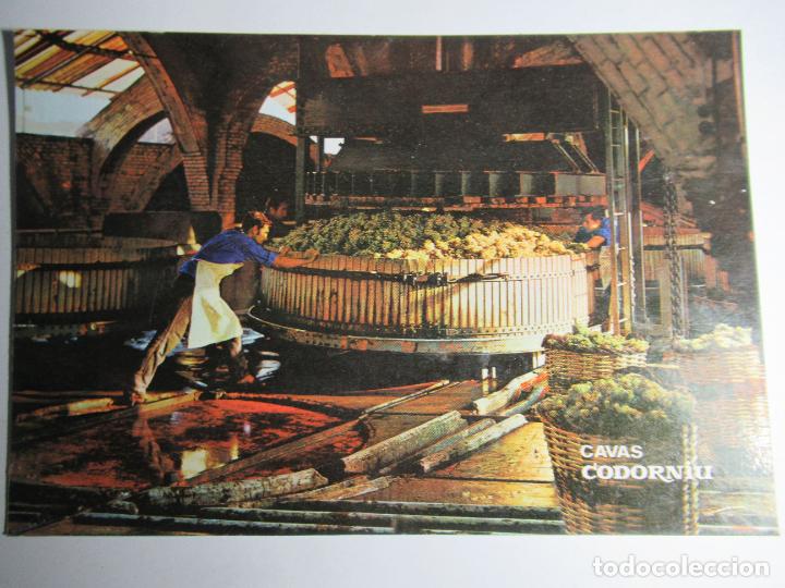 Postales: Codorniu - Prensado de la uva - Foto 1
