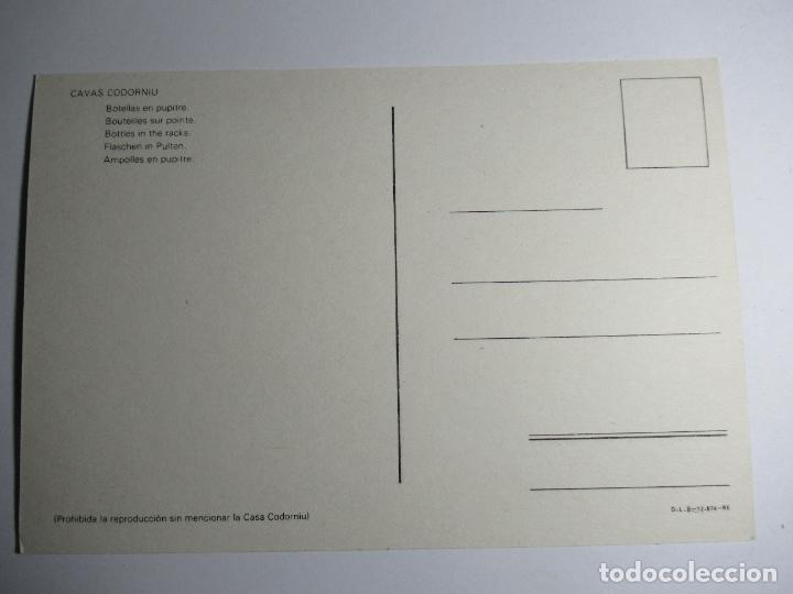 Postales: Codorniu - Botellas en Pupitre - S/C - Foto 2