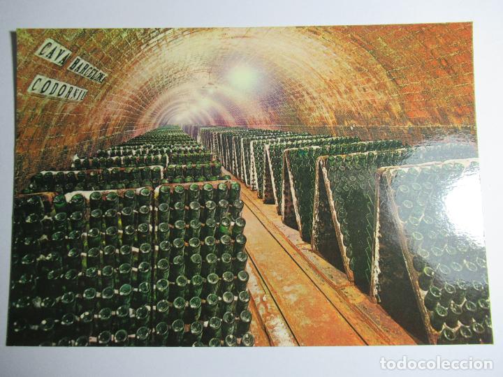 Postales: Codorniu - Botellas en Pupitre - S/C - Foto 1