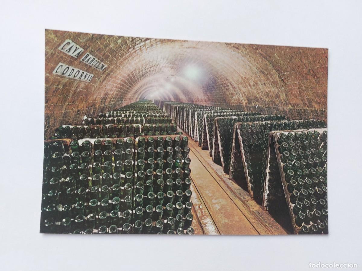 Postales: POSTAL - CAVAS CODORNIU BOTELLAS EN PUPITRE - S/C - Foto 1