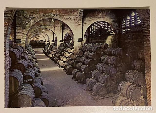 Postales: CAVAS CODORNIU 1971 - INTERIOR BODEGA - CELLER - SANT SADURN&Iacute; DANOIA - Foto 1