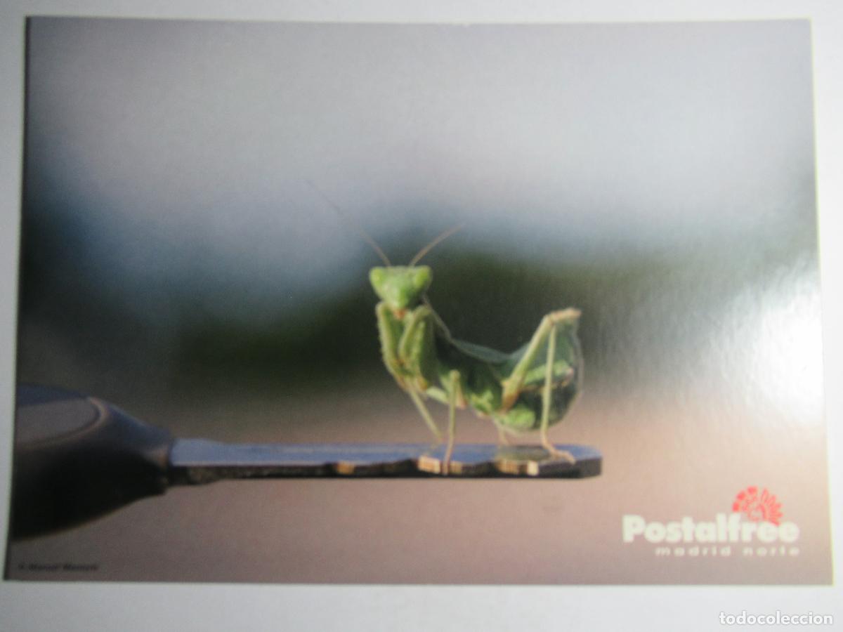Postales: Postal publicitaria Postalfree - Foto 1