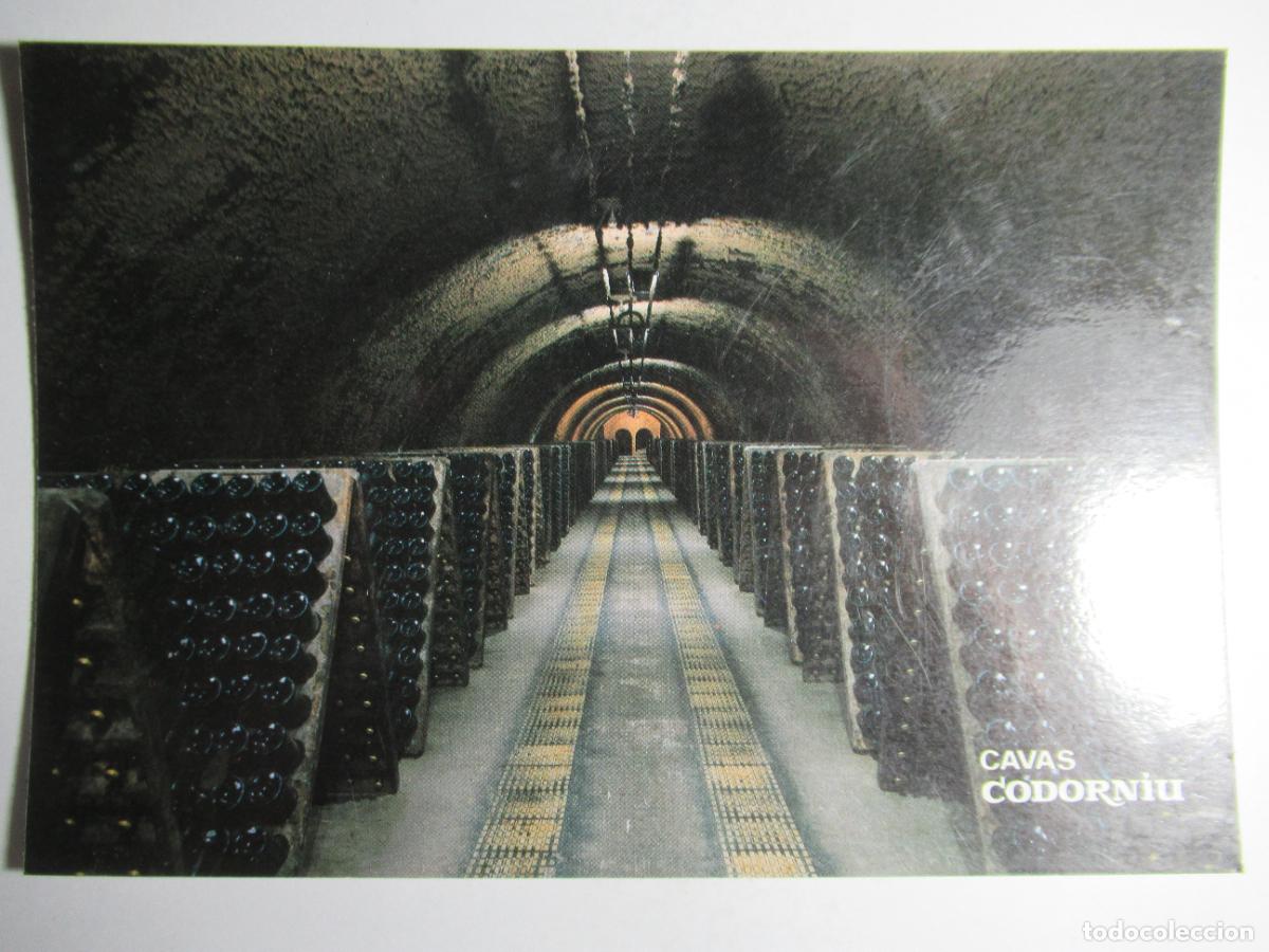 Postales: Cavas Codorniu - Botellas en Pupitre - Foto 1