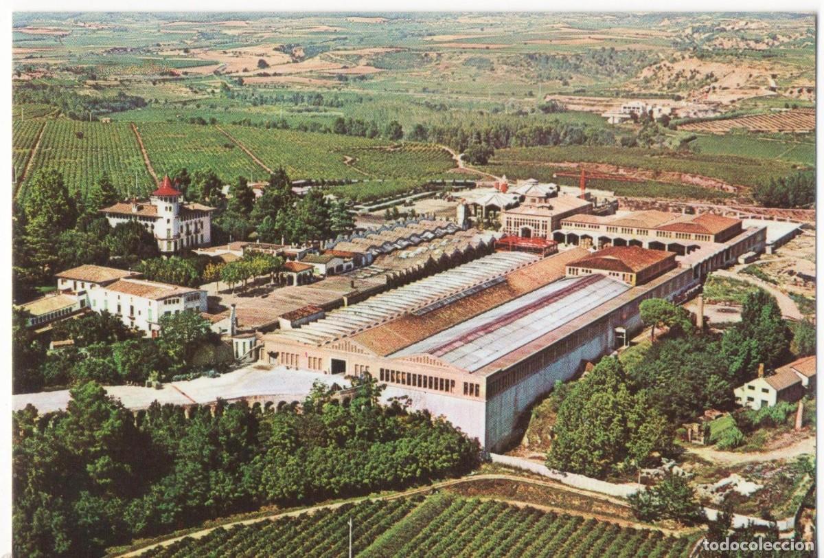 Postales: Cavas Codorniu- Barcelona-sin circular- - Foto 1