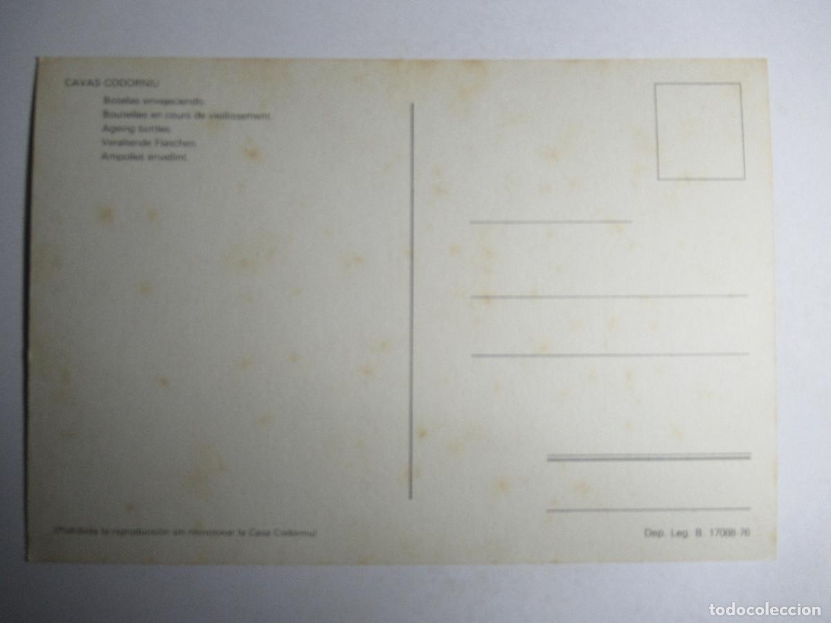 Postales: Cavas Codorniu - Botellas envejeciendo - Foto 2
