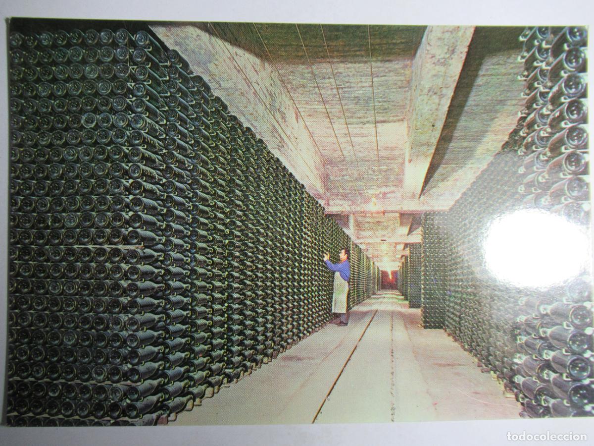 Postales: Cavas Codorniu - Botellas envejeciendo - Foto 1