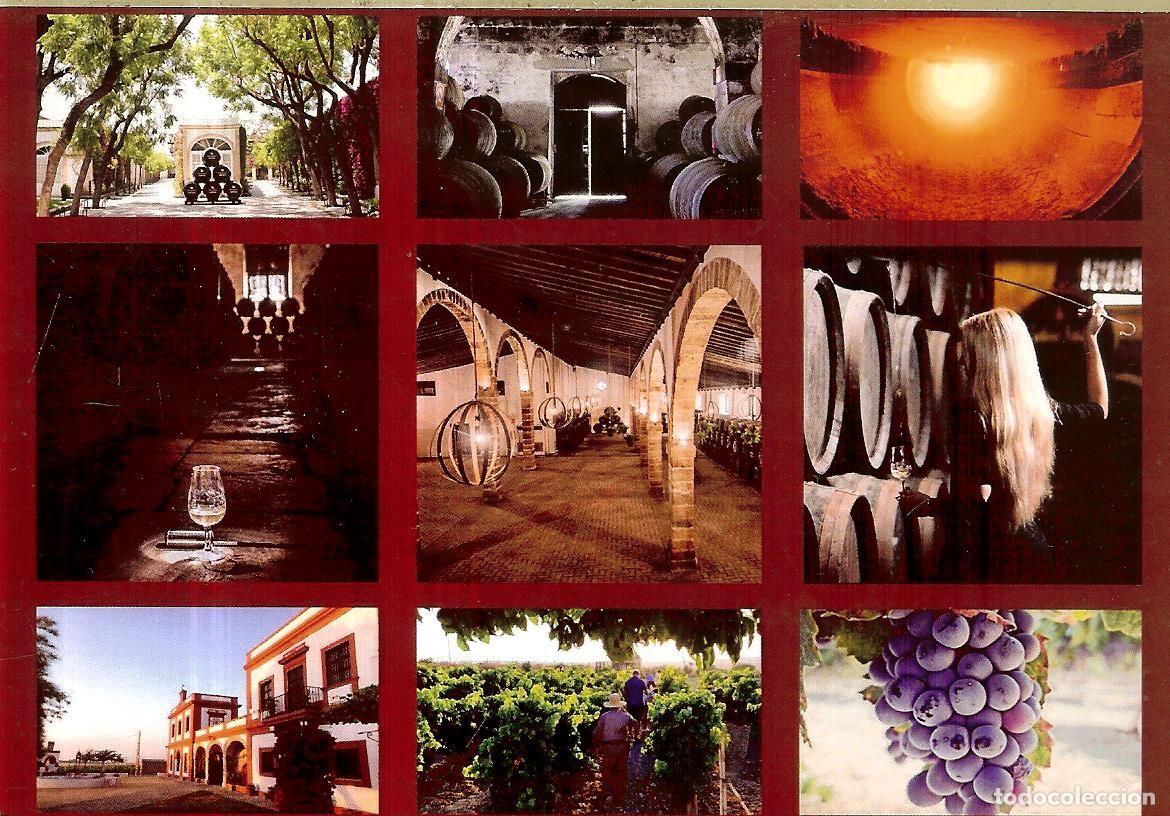 Postales: POSTAL - EL PUERTO DE SANTA MAR&Iacute;A - Foto 1