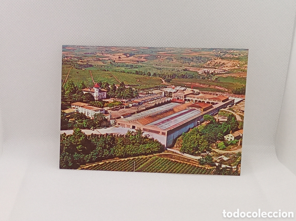 Postales: Lote de 6 Tarjetas postales de Cavas Codorniu, sin circular. - Foto 4