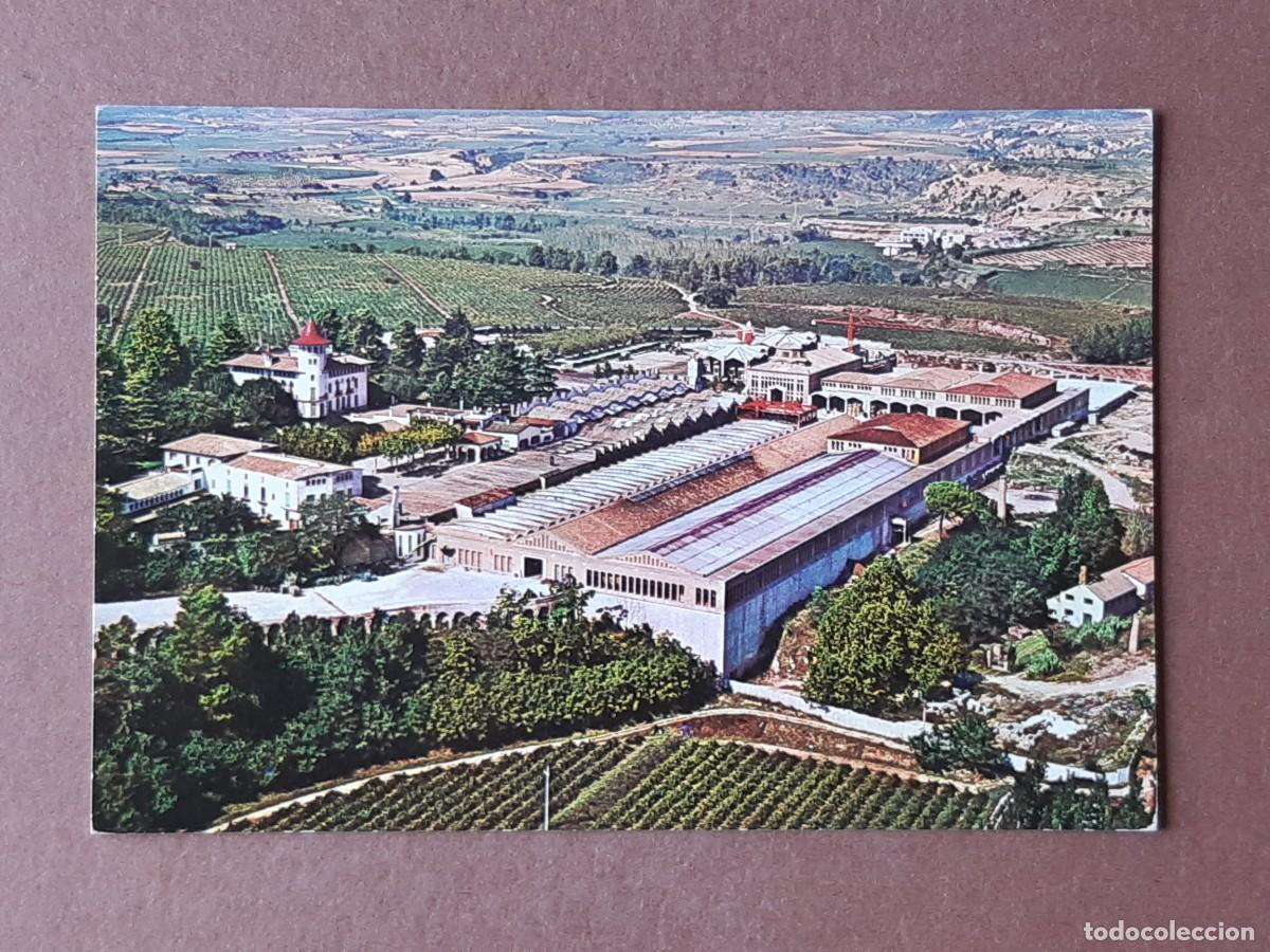 Postales: LOTE 5 POSTALES CAVAS CODORNIU. SANT SADURN&Iacute; DANOIA. SIN CIRCULAR. - Foto 3
