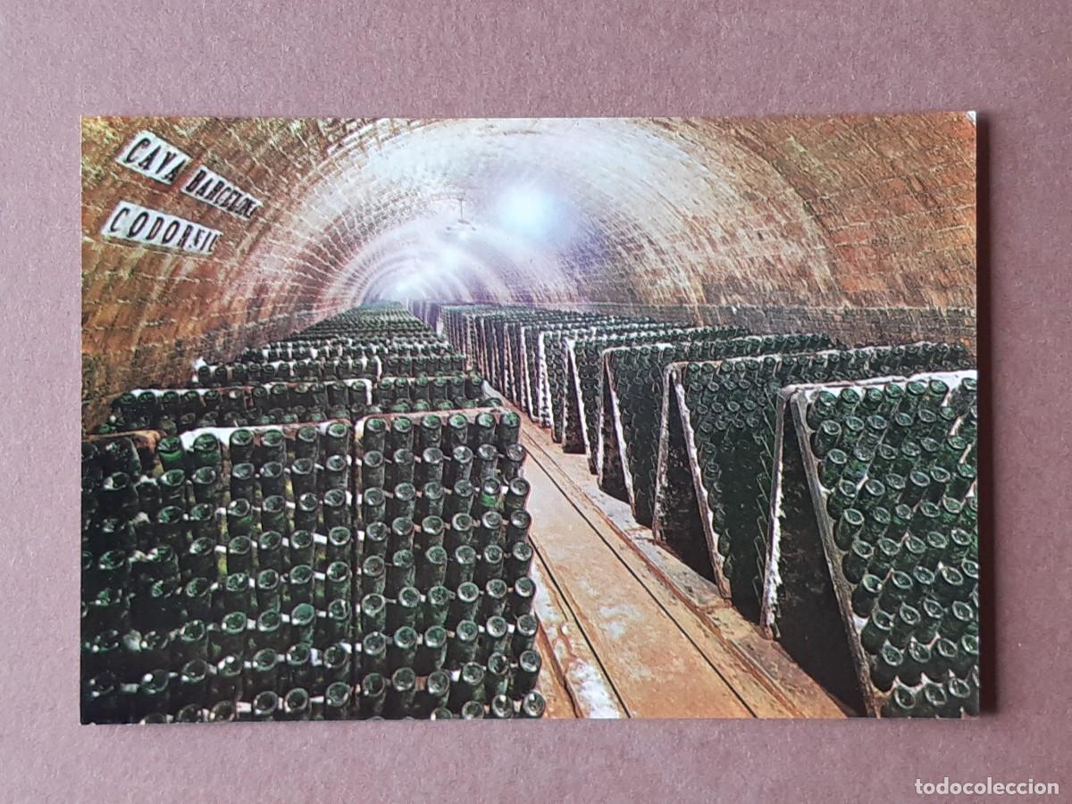 Postales: LOTE 5 POSTALES CAVAS CODORNIU. SANT SADURN&Iacute; DANOIA. SIN CIRCULAR. - Foto 7