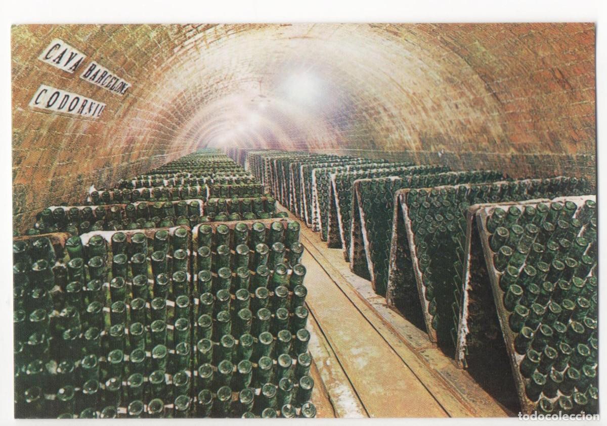 Postales: Cavas Codorniu- Barcelona-sin circular- - Foto 1